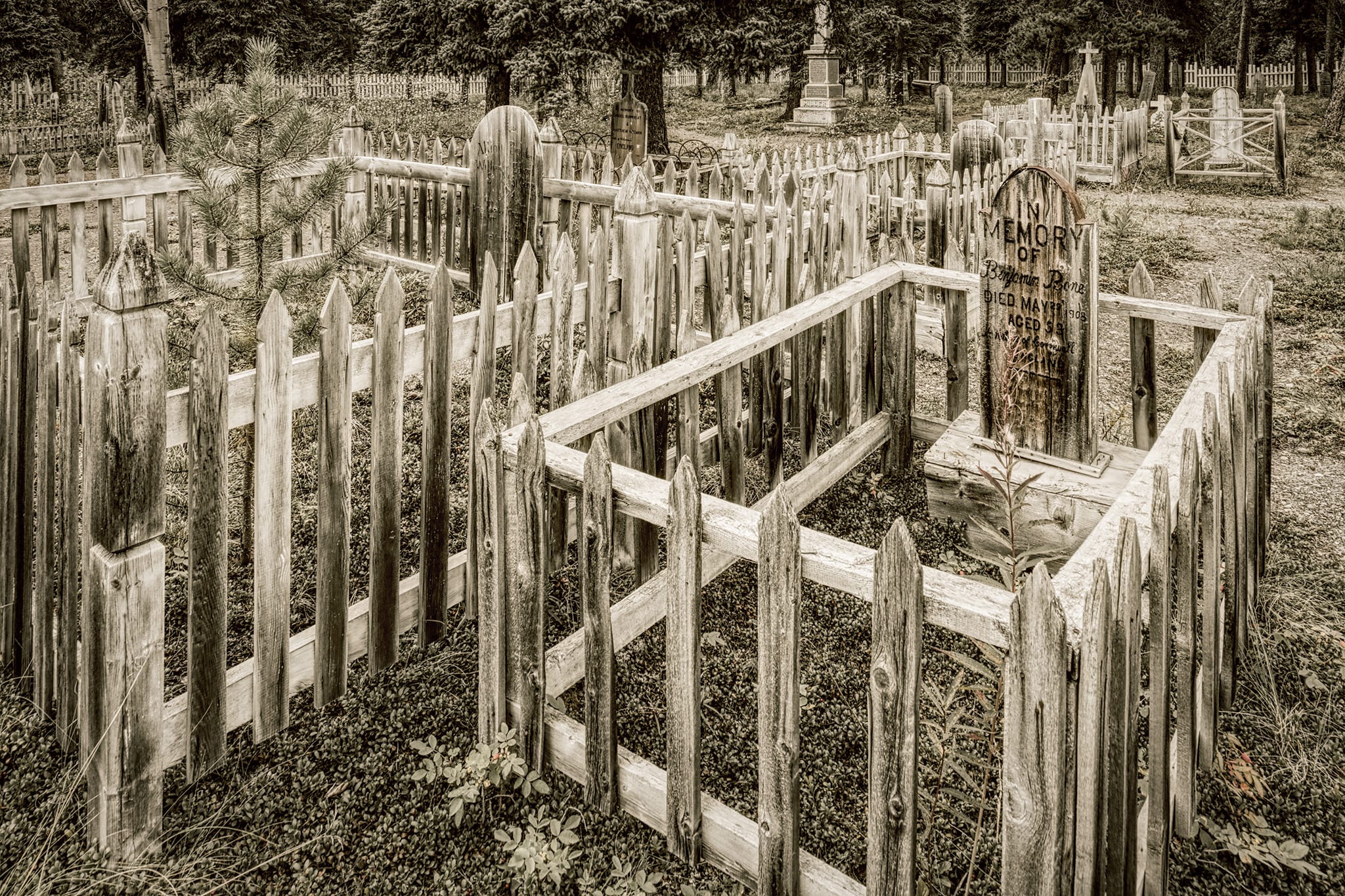 Historic Atlin Cemetery, echos of the gold rush of 1898 in Atlin, British Columbia, Canada