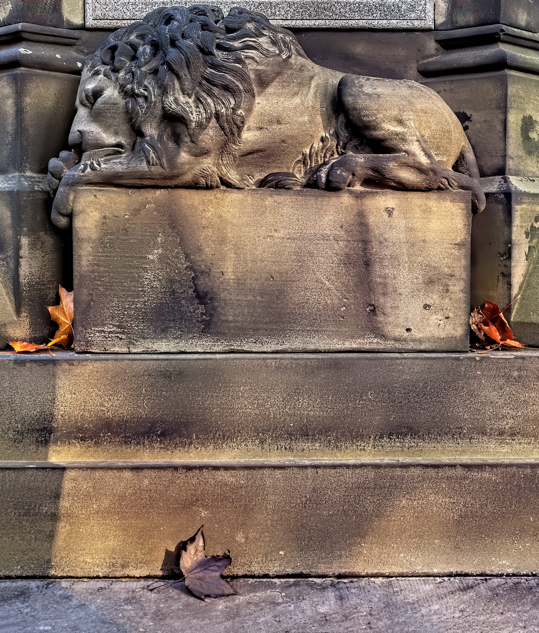 Lion sleeps on monument in fall, in the historic Necropolis Cemetery, Toronto, Ontario, Canada.